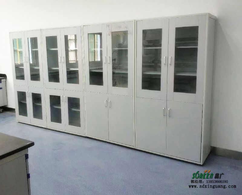 實(shí)驗(yàn)室藥品柜