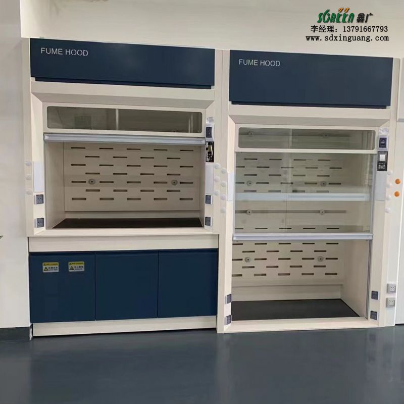 山東實(shí)驗(yàn)室通風(fēng)柜