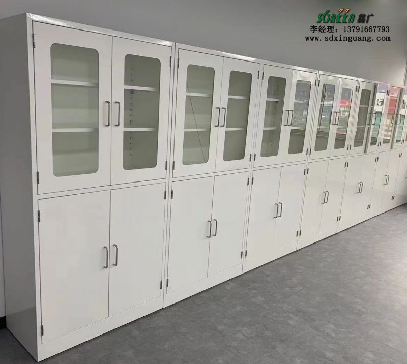 實(shí)驗(yàn)室器皿柜